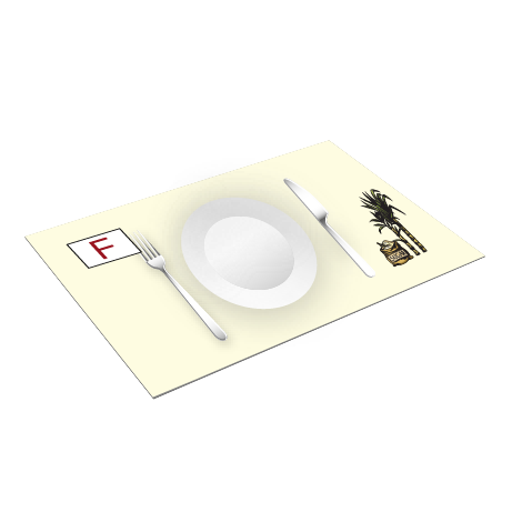 Tischsets aus Zuckerrohrpapier | DIN A3 | einseitig bedruckt